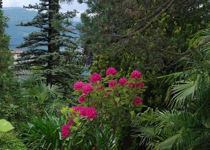B&B Le Ortensie -Lago di Como